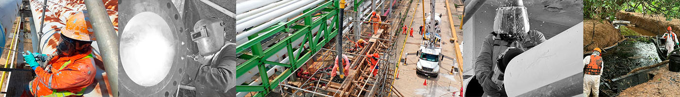 ImagenesSiissa copia